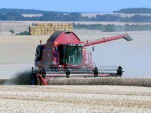 De l’alimentation du bétail à la production d’énergie, la paille diversifie ses applications