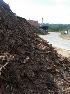 Ecorces combustibles avant broyage, photo Frédéric Douard