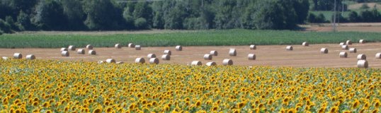 Paysage de bioressources, photo Frédéric Douard