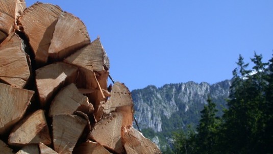 Bois de chauffage en Rhône-Alpes, photo Frédéric Douard