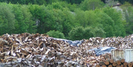 55% de croissance pour Rhône-Alpes bois bûches en 2014