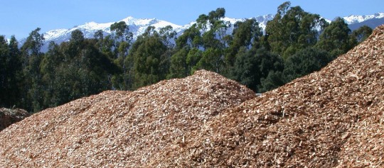 Stock de plaquettes forestières, photo Frédéric Douard