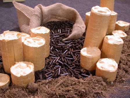 Assortiment biocombustibles solides, photo Frédéric Douard