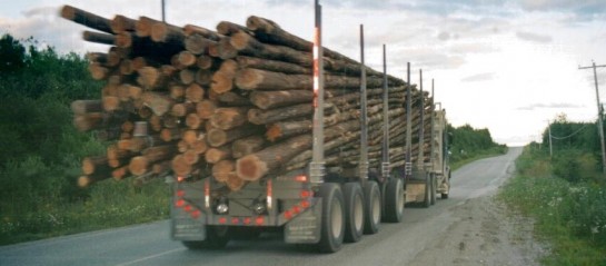 France, nouvelle réglementation du transport routier de bois rond