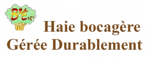 Haie bocagère gérée durablement