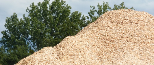 Plaquettes forestières, photo Frédéric Douard