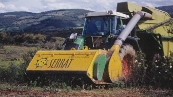 Récolteuse de Rajal en Extrémadure, photo Jeremy Hugues dit Ciles
