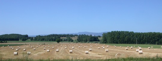 Paille en balles rondes, photo Frédéric Douard