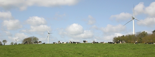 Guehenno en Bretagne, photo IEL Energies