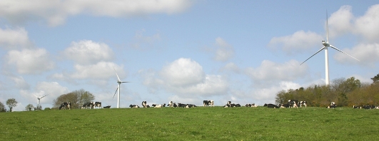 Guehenno, commune de Bretagne, photo IEL Energies