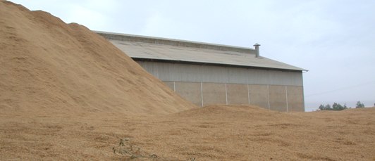 Montagne de bale de riz non valorisée, Ross-Béthio, photo Frédéric Douard