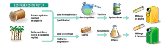 Filières biocarburants de seconde génération, schéma IFP