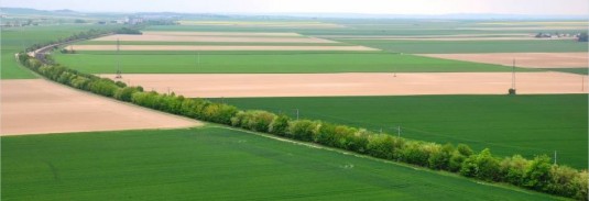 La plaine champenoise, photo Procethol 2G