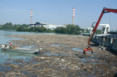 Récupération de bois flottant, photo www.cuepe.ch