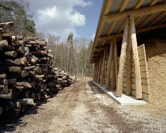 Le hangar et son stock en bois rond, photo envar