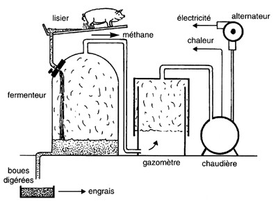 senegal_biodigesteur_schema