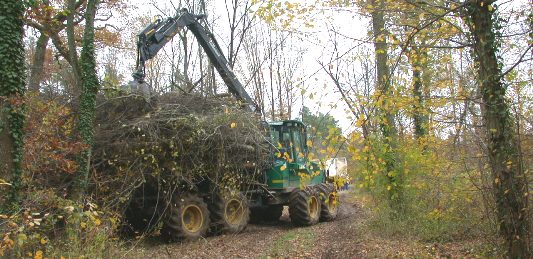 Débardage de bois-énergie en 6 m sur porteur, photo Frédéric Douard