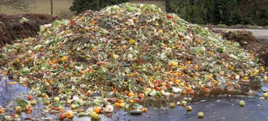 Déchets de fruits et légumes, photo Biomasse Suisse