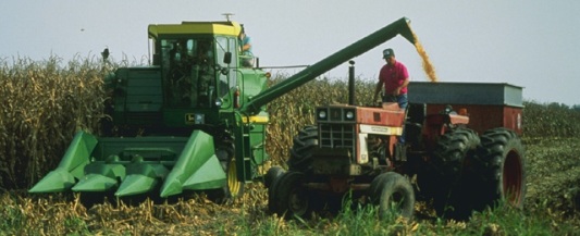 Récolte de maïs à Columbia, Missouri, Photo Bruce Fritz, USDA ARS
