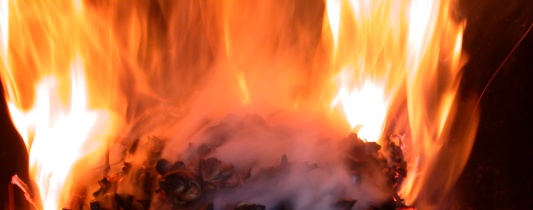 Biomasse herbacée en combustion, photo Frédéric Douard