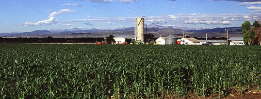 Production de maïs au Colorado, photo Scott Bauer, USDA ARS