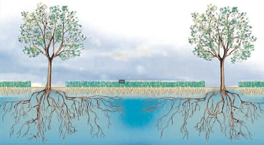 Dupraz et Liagre, 2008, dessin de Girardin N.