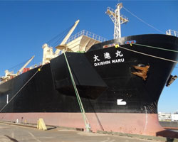 Le Daishin Maru a appareillé le 31 décembre 2011 vers l'Europe avec 28 000 t de granulés à son bord