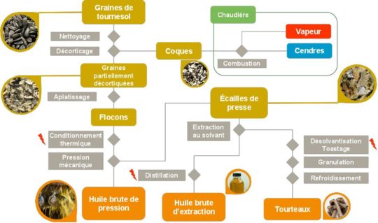 Procédés de transformation du tournesol à Lezoux, SAIPOL. Cliquer pour agrandir.