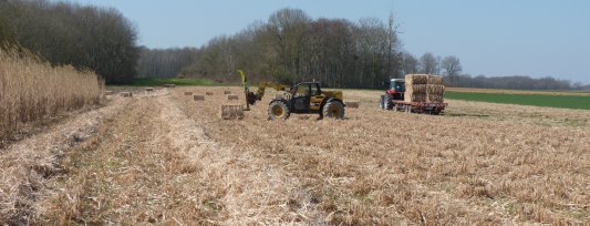 Récolte de miscanthus en balles, photo Frédéric Douard