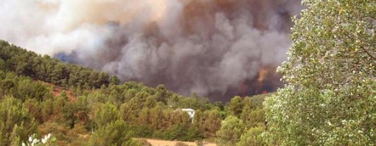 Feu du Montaiguet en 2005, Bouches-du-Rhône, photo Entente Valabre