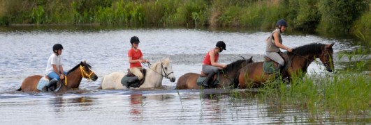 Randonnée à cheval sur les terres du Launay