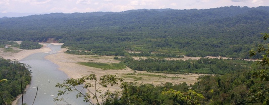 Une déforestation cachée, photo © Maholyoak