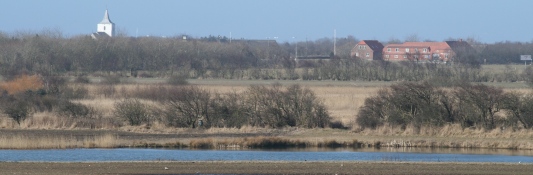 Village de Vognkjær au Danemark, photo Bioenergi Vest