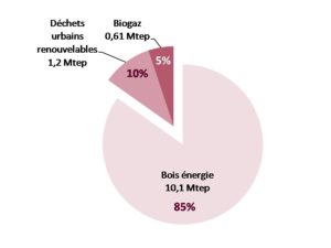 Production d’énergie primaire à partir de biomasse (hors carburants) en 2010 (Mtep)-2