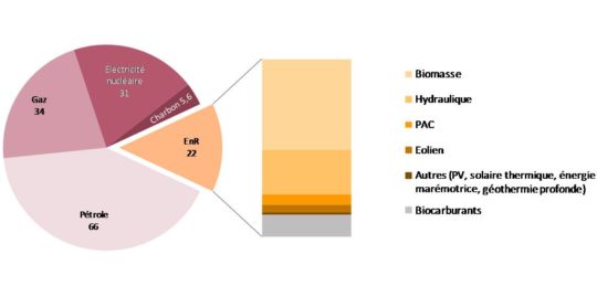 Production d’énergie primaire à partir de biomasse (hors carburants) en 2010 (Mtep)