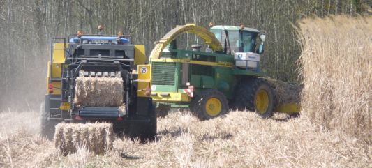 Récolte de miscanthus sec en hiver, photo Frédéric Douard
