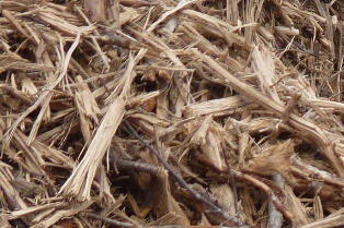 Le broyat du Crambo, photo Frédéric Douard