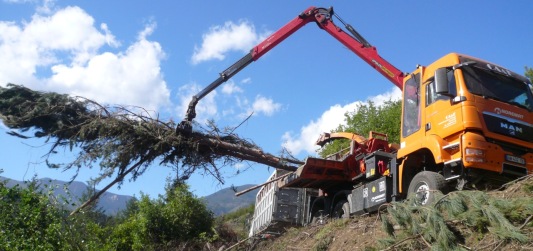 Mobilisation de la plaquette forestière en montagne