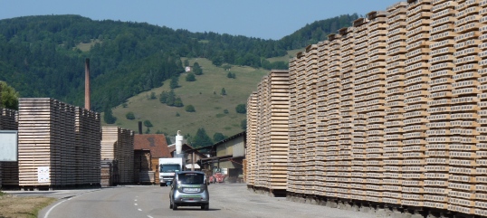 Pellets du Jura choisit ZM pour produire son granulé de bois feuillus