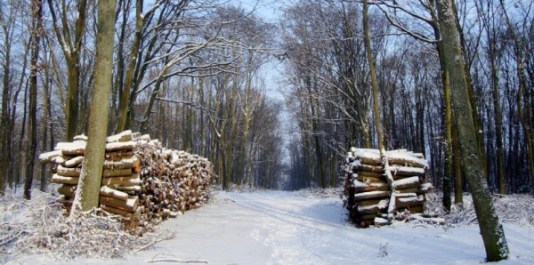 Bois de chauffage sous la neige, photo © Yannick Vallet