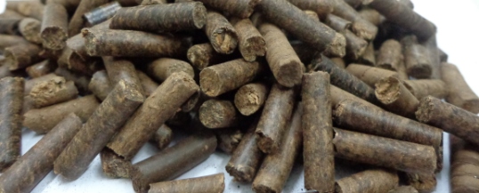Granulés de bois torréfié, photo RAGT Energie