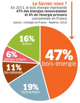 Bois énergie Renouvelable
