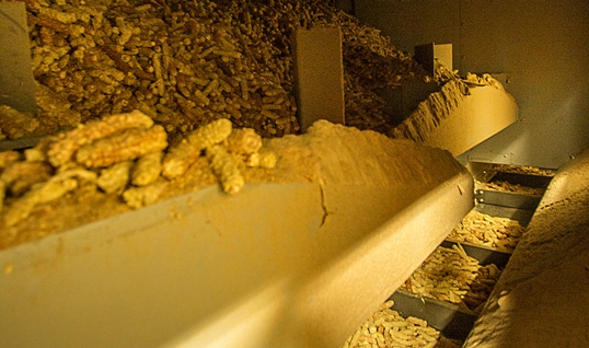 Le convoyage des rafles chez Limagrain, photo Daniel PANAFIEU
