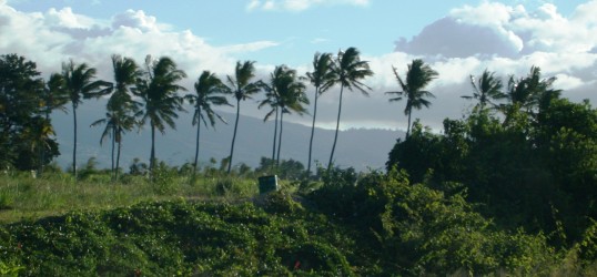 ïle de la Réunion, photo Frédéric Douard