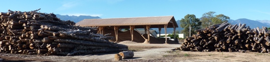 La plateforme de Corse Bois Energie à Aghione, photo Frédéric Douard