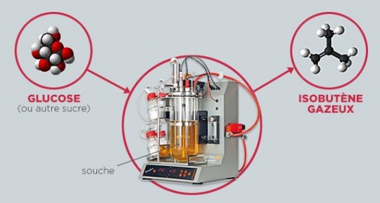 Procédé Global Bioénergies