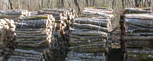 Fagots de bois de chauffage en bord de route, photo Frédéric Douard