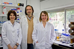 Encarnación Mellado, de la Faculté de Pharmacie avec David Cánovas et Almudena Escobar de la Faculté de Biologie de Seville