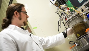 Bioréacteur de laboratoire associant la bactérie et le champignon, photo Joseph Xu