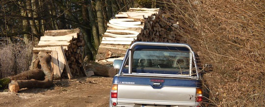 Chantier de façonnage de bois-bûches en forêt, photo Frédéric Douard